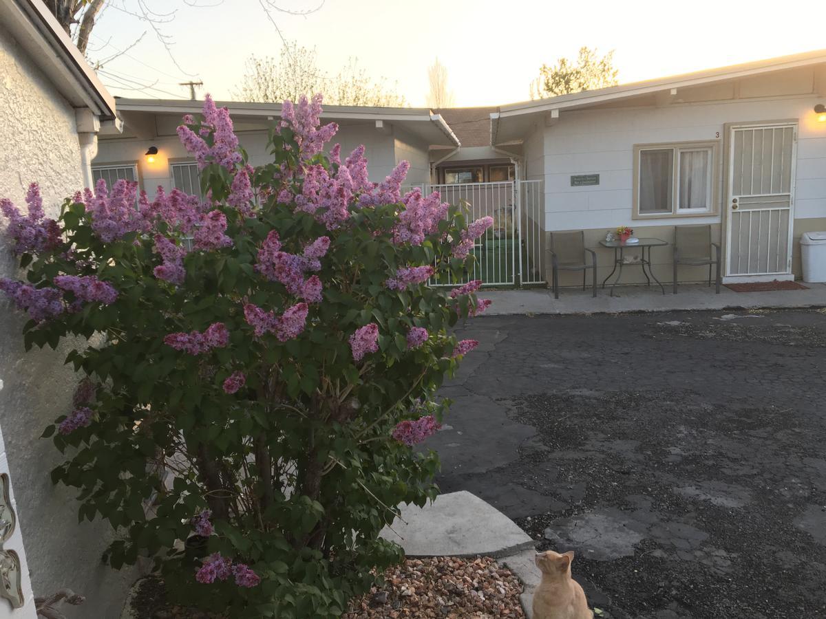 Midway Motel Caliente Extérieur photo